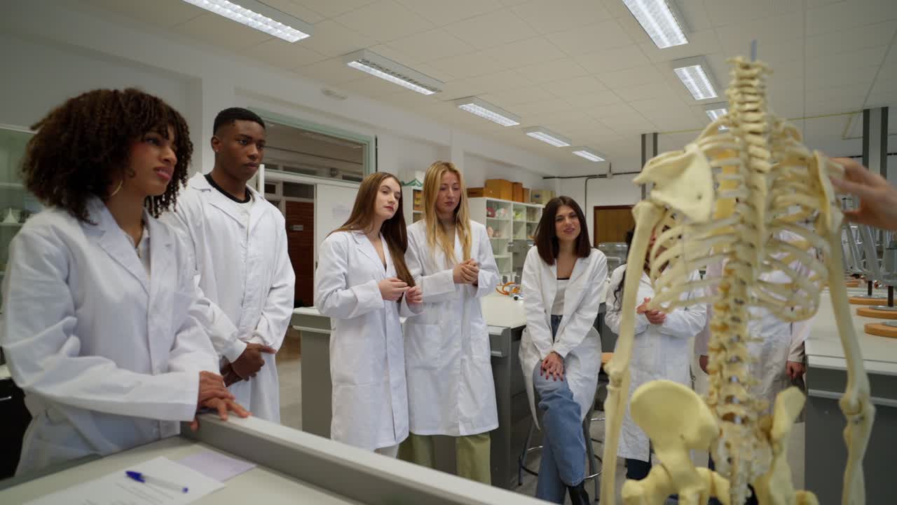 Anatomy Class with Students and Skeleton