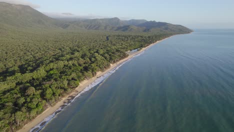 quiet and scenic wangetti beach with tropical vegetation in summer