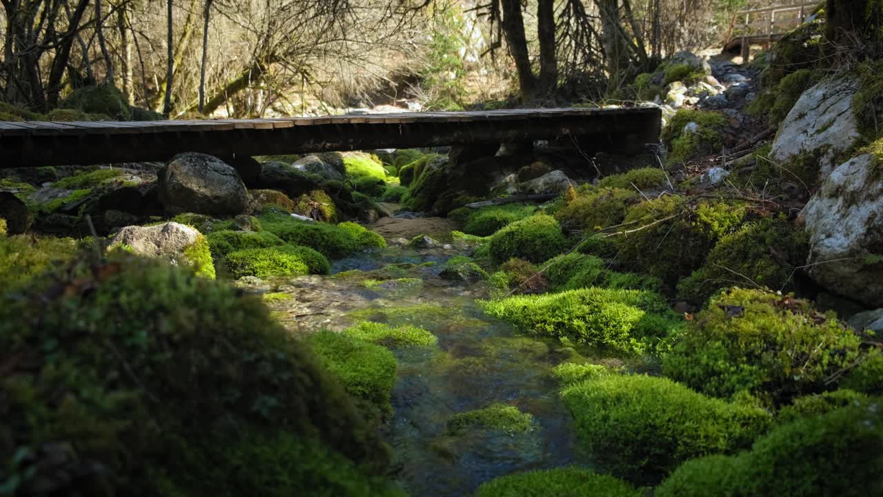 pequeño arroyo forestal que fluye bajo un puente de madera rodeado de rocas de musgo