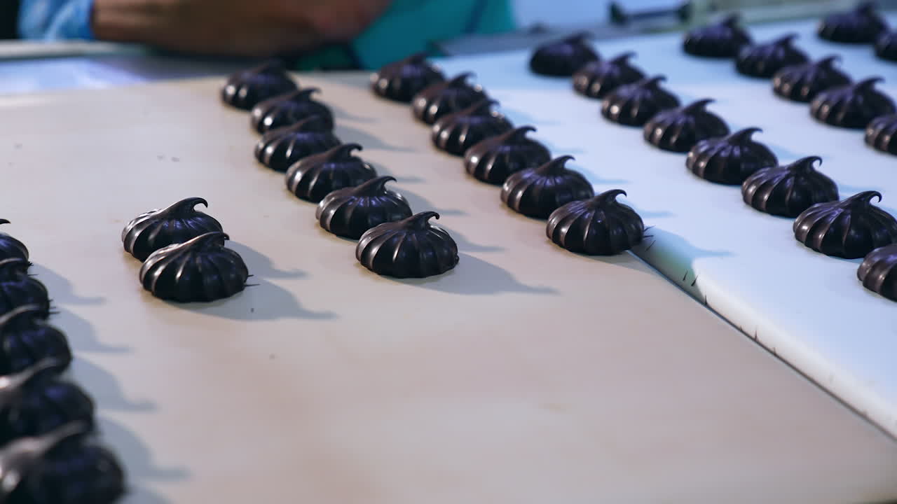 Hands in blue gloves take away marshmallows from the conveyor belt. Chocolate zephyr candies being packed into boxes. Close up.