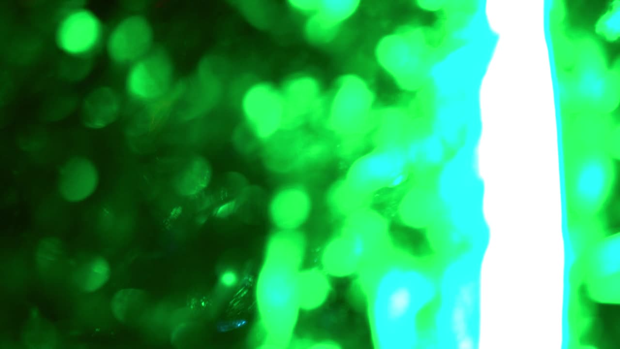 círculos multicolores abstractos. fondo para las vacaciones