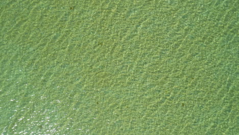 aerial top down view of the clear turquoise waters on the shoreline of the island of islay, calm sunny day