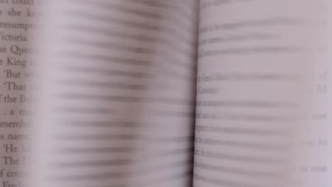 páginas del libro volteando rápidamente una tras otra