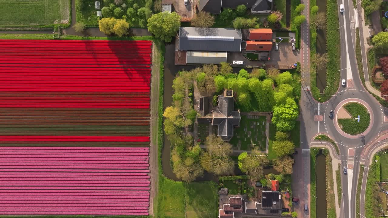 Widok z lotu ptaka na holenderskie pola kwiatów otaczające wieś Stompetoren i kościół.