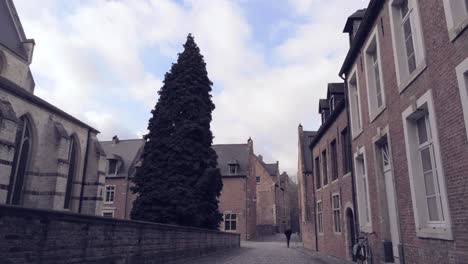 Unesco-weltkulturerbe-Großer-Beguinenhof-In-Leuven,-Belgien