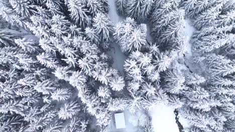 extremely snow-covered landscape with flowing stream in a winterly forest