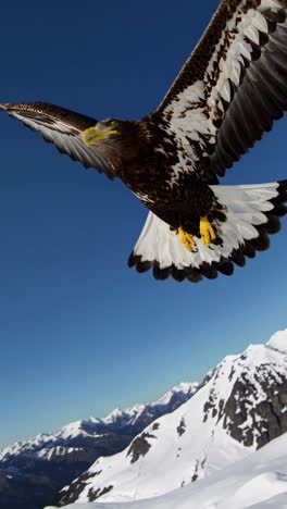 aerial video captures a majestic eagle soaring over snow-capped mountains, with a dynamic upward