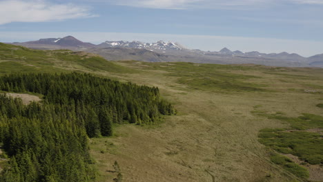 Toma-Aérea-Sobre-Hofsstadaskogur-Un-área-De-Islandia-Dedicada-A-La-Conservación-De-árboles