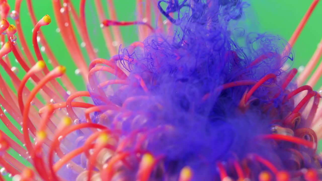 explosión de tinta vibrante en una flor