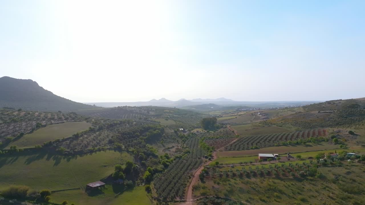 Reverse reveal of Dehesa Extremeña hilly Landscape full of olive farms