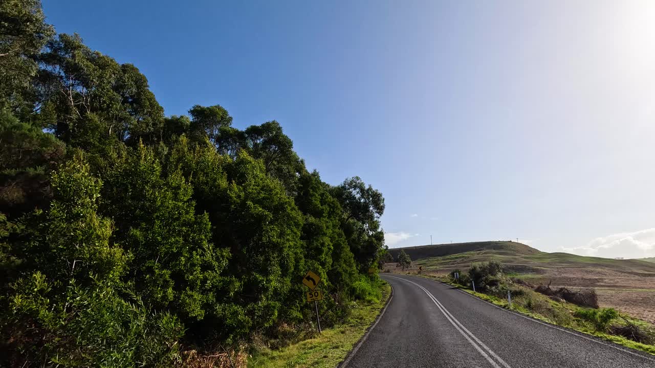 울창 한 초록색 을 가로질러 평화 로운 운전