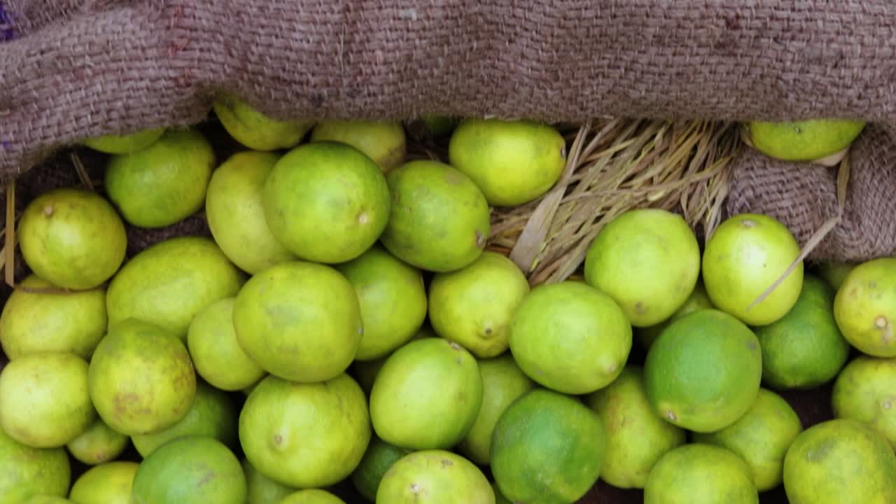 limones orgánicos frescos de la granja de cerca desde diferentes ángulos
