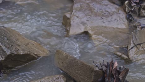 rural scene of water flowing smoothly between stones, padure, latvia