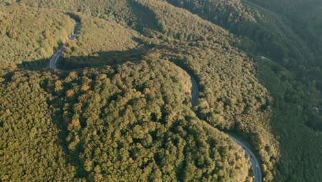 aerial tilt down drone shot of cars driving on a winding heart shaped mountain road in the middle of a forest