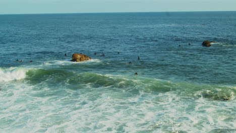 Surfers-in-the-water-on-their-boards-waiting-to-catch-a-wave-off-the-coast-of-California