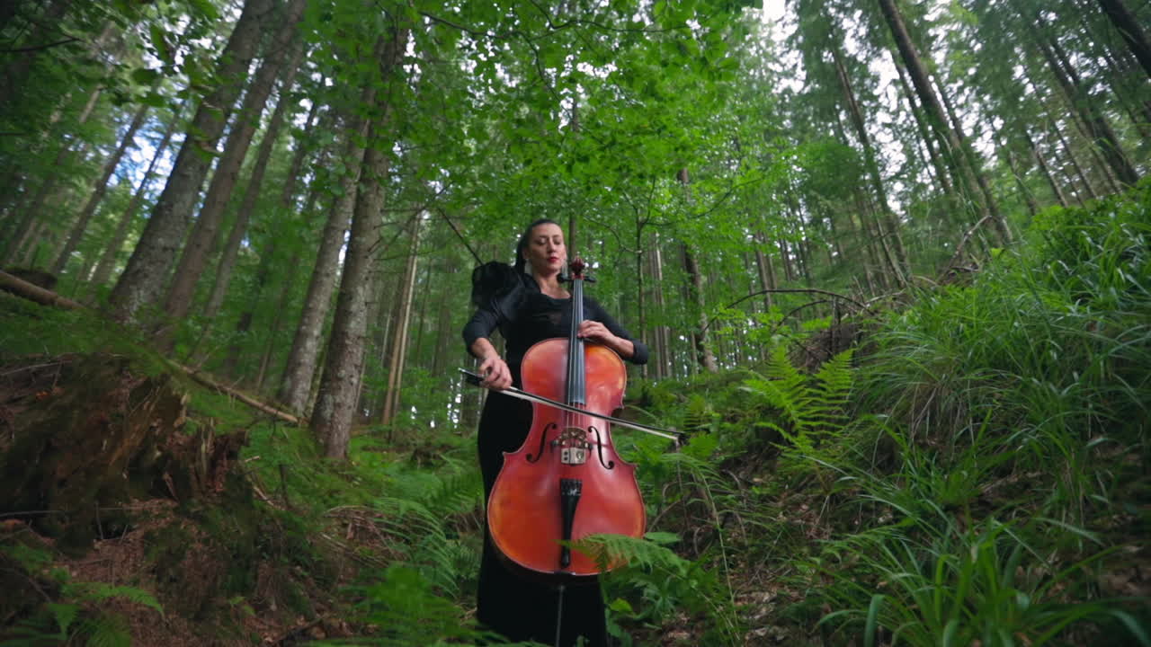 Lady with musical instrument in beautiful nature. Attractive woman in long black dress playing the cello in green forest.
