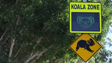 Blinkendes-Elektronisches-Neonschild-Mit-Warnung-Vor-Koalas,-Die-An-Einem-Belebten-Straßenrand-In-Einer-Stadt-überqueren