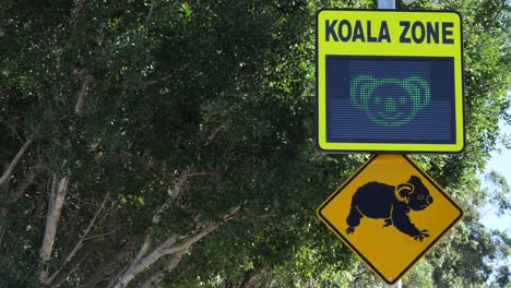 señales de advertencia de visualización electrónica de neón parpadeando koalas cruzando en una concurrida carretera de la ciudad urbana