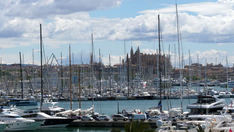 waterfront palma, mallorca marina, yachts boats and cityscape, static