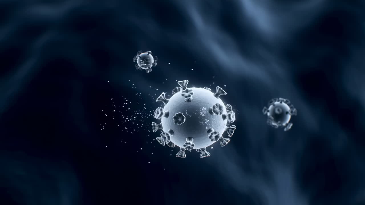 Coronavirus Visualization