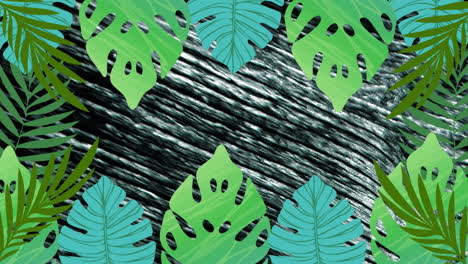 animation of green leaves over moving lines