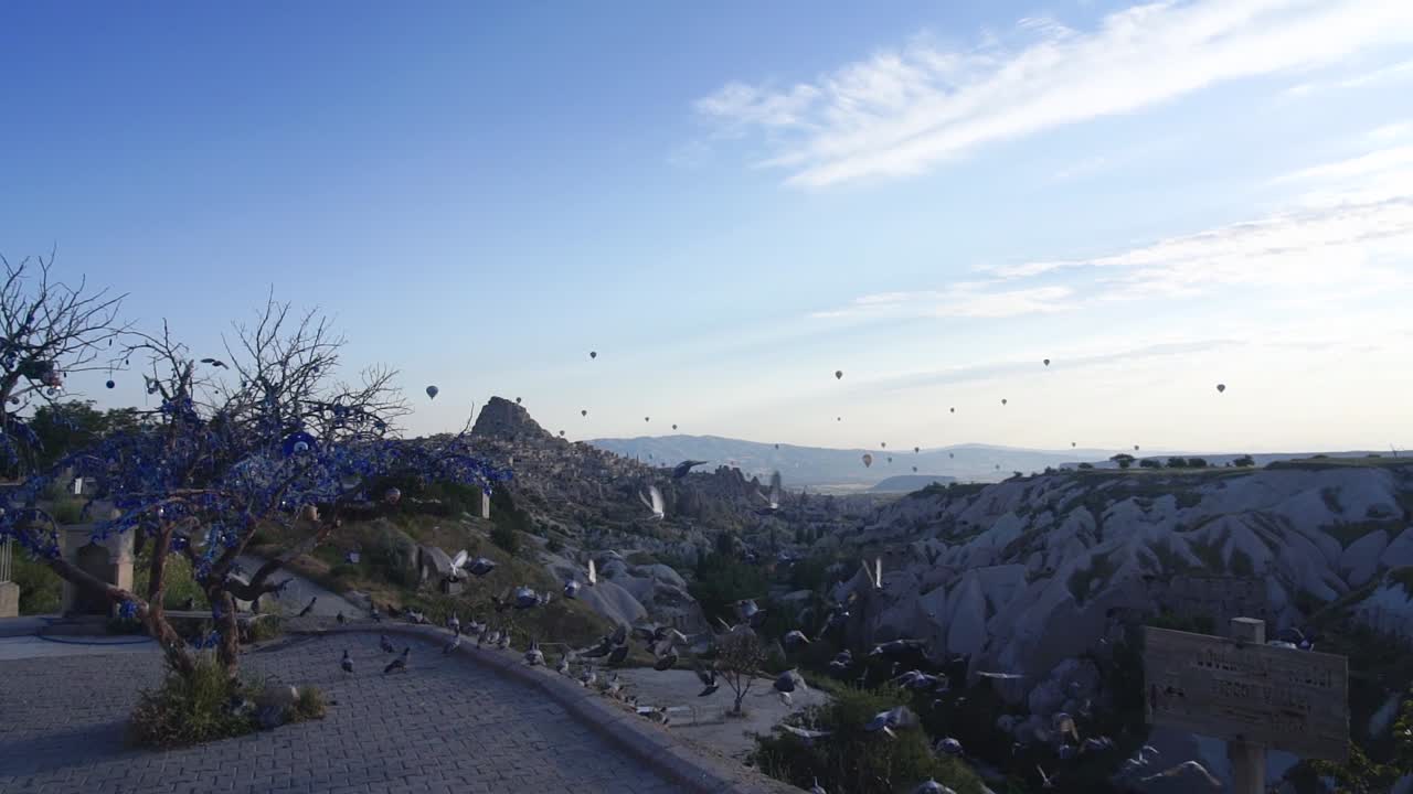 uchisar, cappadocia, turkey, uchisar, cappadocia, turkey에서 산과 공기 풍선을 배경으로 절벽에서 날아가는 pidgeon 새 무리의 슬로우 모션 와이드 샷