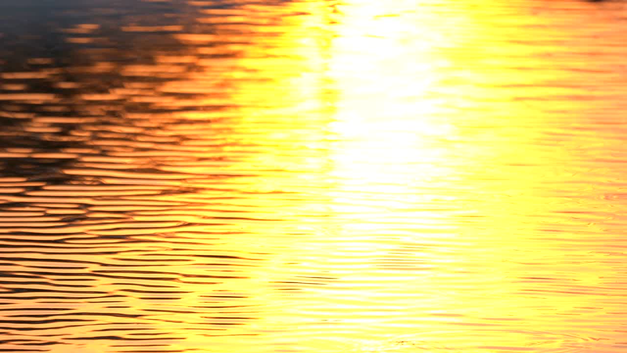 황금 스크린 배경: 해가 지는 곳에서 물의 움직임, 빛 표면, 연못 배경, 창조적 인 그래픽 디자인을위한 추상적인 다채로운 벽지, 물에 반사되는 빛, 아름다움, 자연 배경