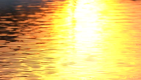 Golden screen background of wave water motion from sunset sunny surface pond background, abstract colorful wallpaper for creative graphic design, sun light reflect on water is beauty nature background