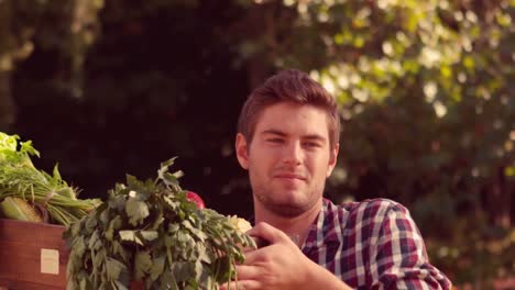 smiling man carrying box of vegetables