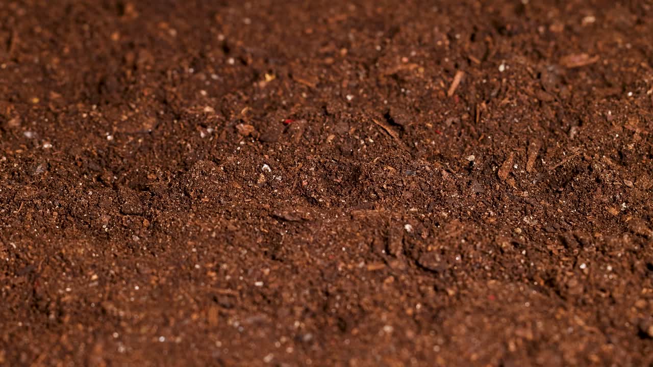 A hand uses a spray bottle to mist soil, demonstrating water absorption in a controlled environment with consistent lighting