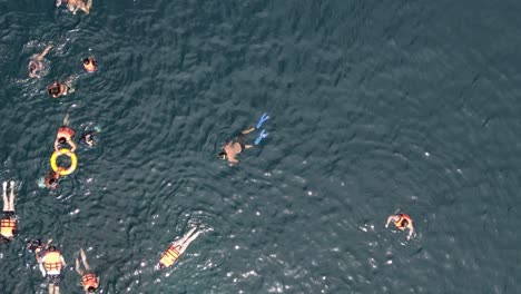 anonymous people snorkeling in tropical blue water, rising drone overhead