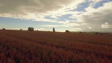 Drone-footage-of-golden-fields-