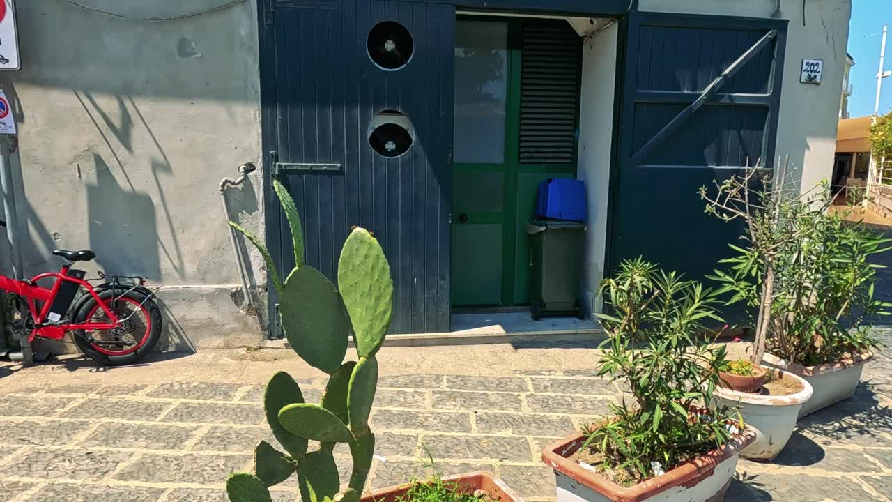 encantadora escena callejera con plantas y arquitectura