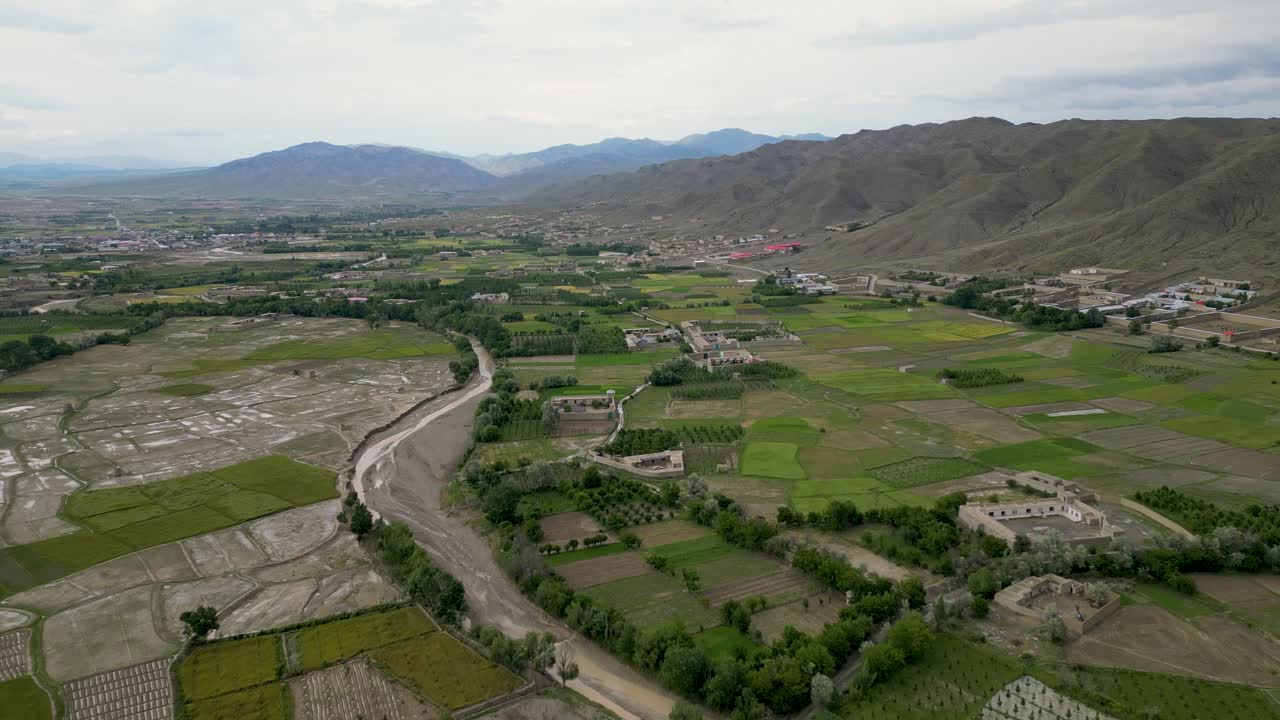 грязные жилища среди зеленых растений