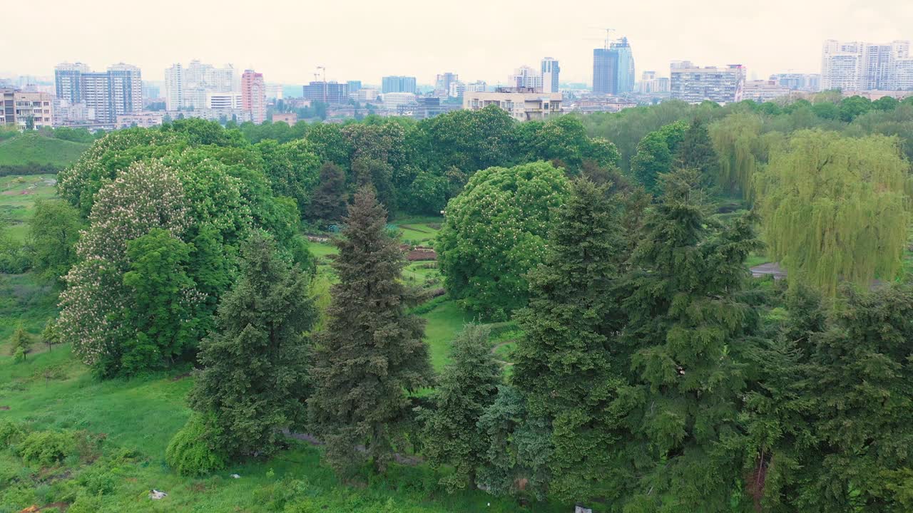 Kiev Botanik Bahçesi'ndeki topiary bahçesi