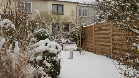 Motion-Shot-of-snowing-in-a-garden