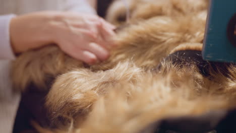 close up hands of female shopper taking fur brown rain coat from rack and feeling plush texture under warm boutique lighting amidst organized winter apparel display evoking tactile exploration