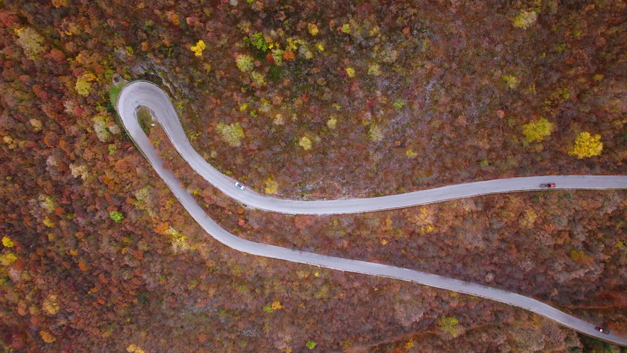 vista aérea de un camino sinuoso a través de un bosque de otoño