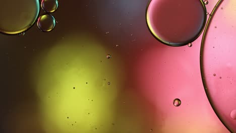 abstract colorful food oil drops bubbles and spheres flowing