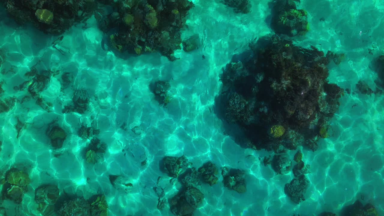 French Polynesia South Pacific Ocean barrier coral reef birdseye drone aerial view Tahiti Island Papara Papeete Moorea Bora Bora sealifte aqau torquise clear water channel passe waves reflection sun