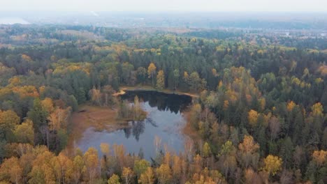 aerial view of green pine and spruce conifer treetops forest and kalnmuiza lake in latvia