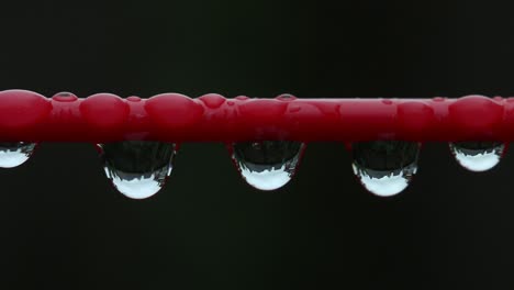 Close-up-of-Raindrops-on-a-washing-line