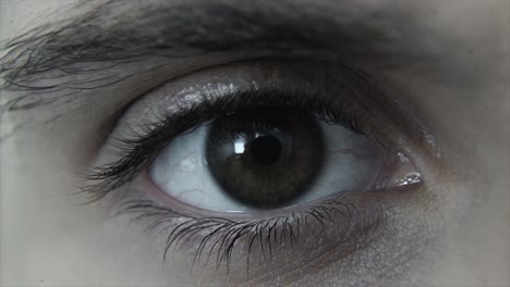 plan macro de los ojos azules