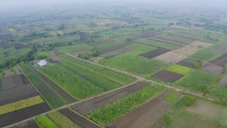 Aerial-view-of-Agriculture-Farm-Land
