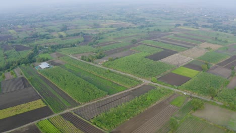 aerial view of agriculture farm land