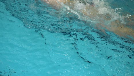 competición de natación