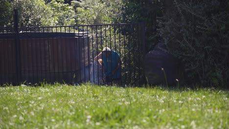 man cutting grown green grass in the garden using brush cutter