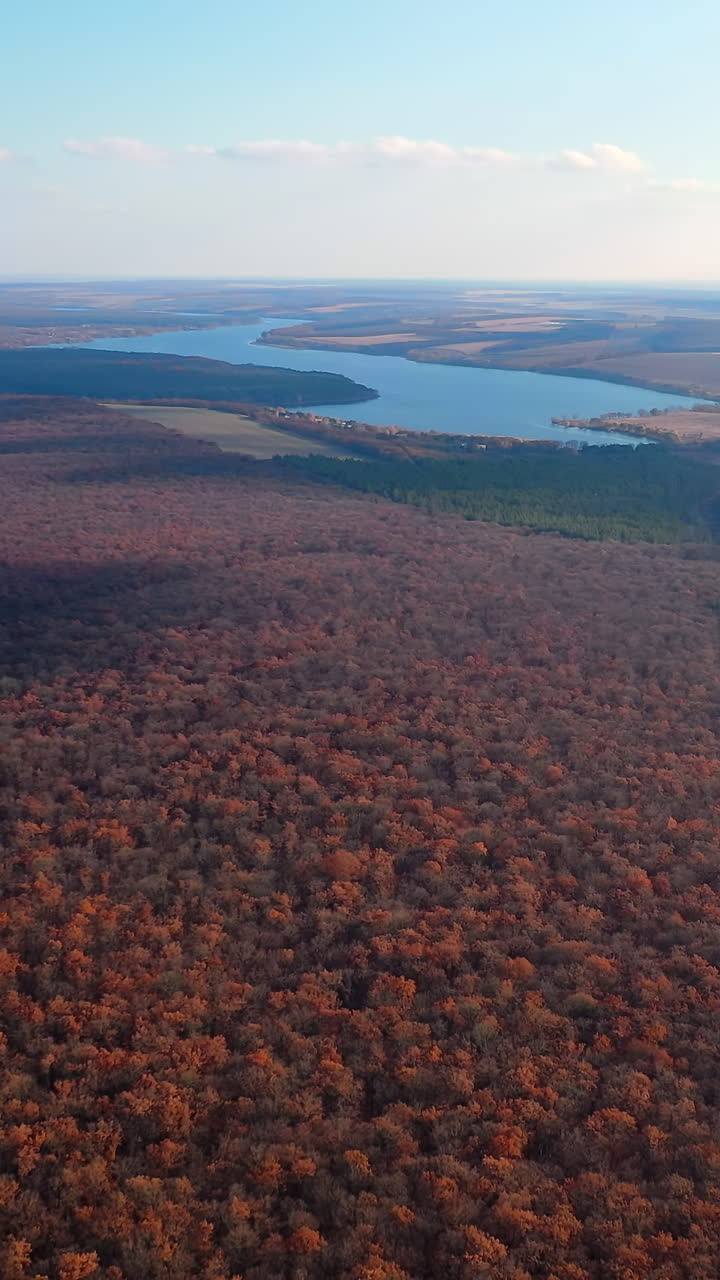 Drone view of tree forest and lake. Aerial view of autumn season landscapes.