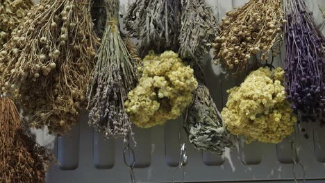 dried flowers and herbs display