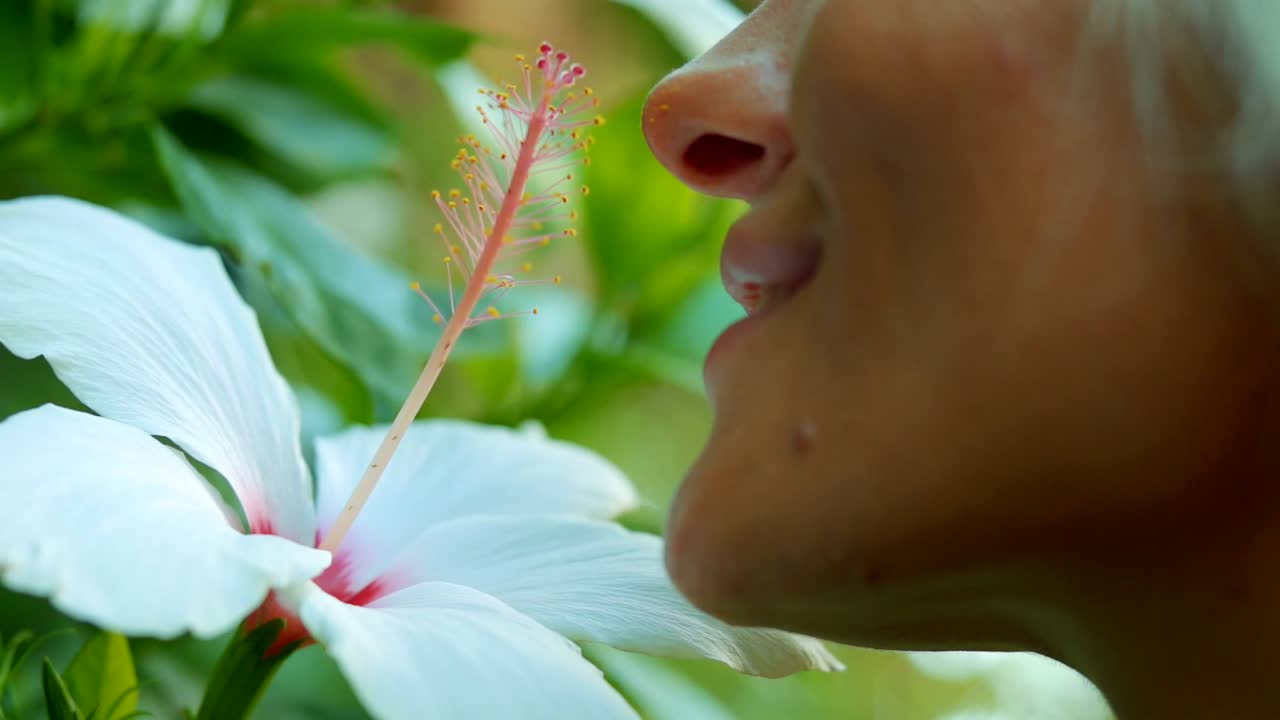 mujer huele la flor que florece en el jardín